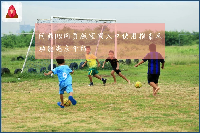 问鼎pg网页版官网入口使用指南及功能亮点介绍