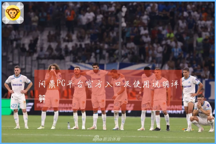 问鼎PG平台官方入口及使用说明详解